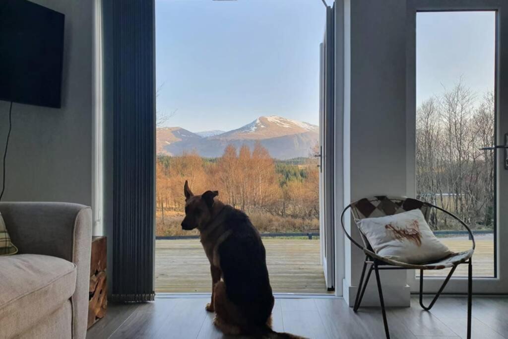 Ben Nevis Scotland Highlands, Camden House Luxury Home Fort William Luaran gambar