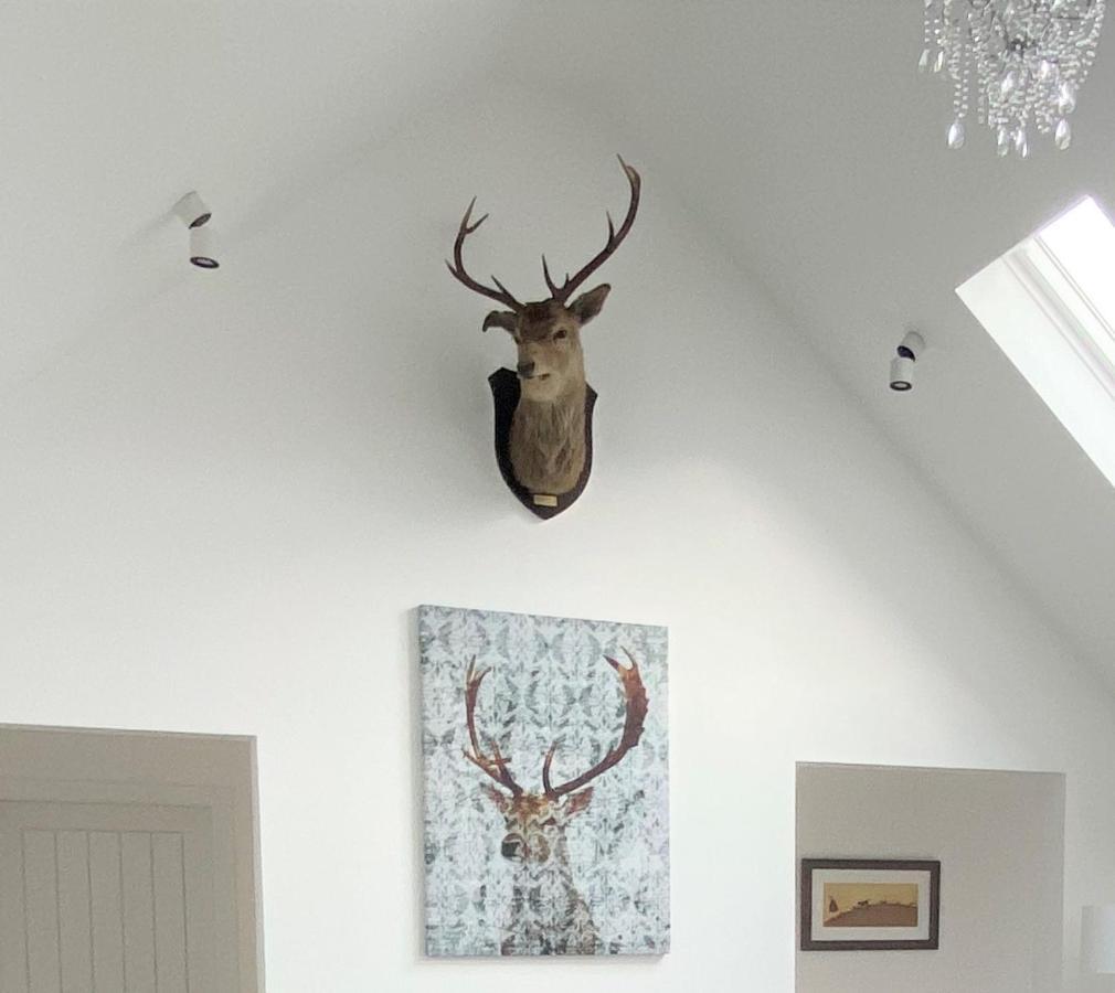 Ben Nevis Scotland Highlands, Camden House Luxury Home Fort William Luaran gambar